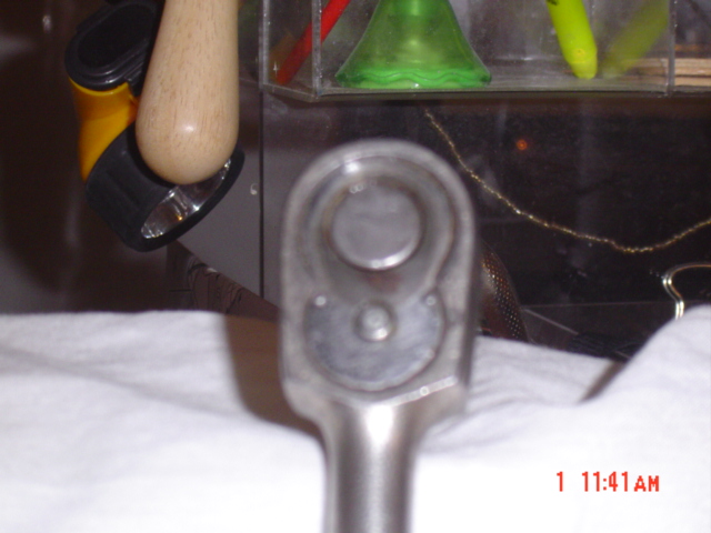 DSC01674.JPG